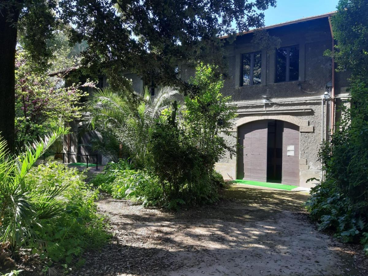 Beyond Colosseum Rome Exterior photo